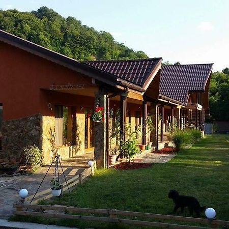 Pensiunea Raiul Muntilor Borossebes Kültér fotó