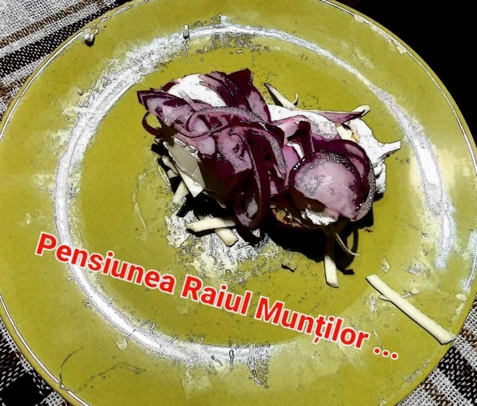 Pensiunea Raiul Muntilor Borossebes Kültér fotó