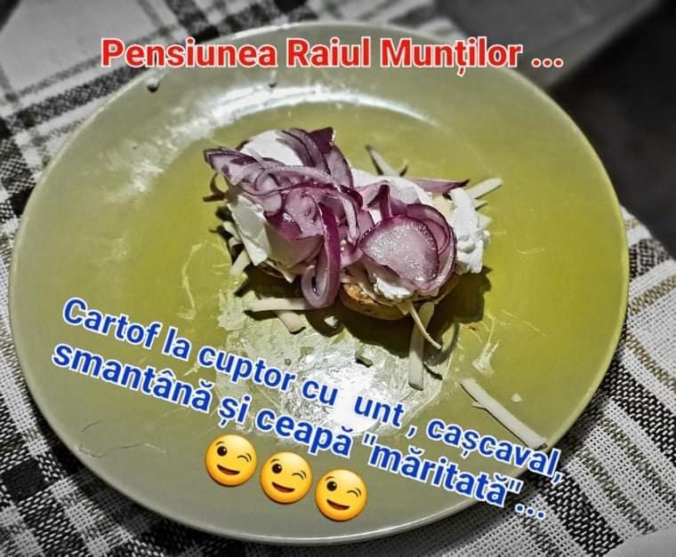 Pensiunea Raiul Muntilor Borossebes Kültér fotó